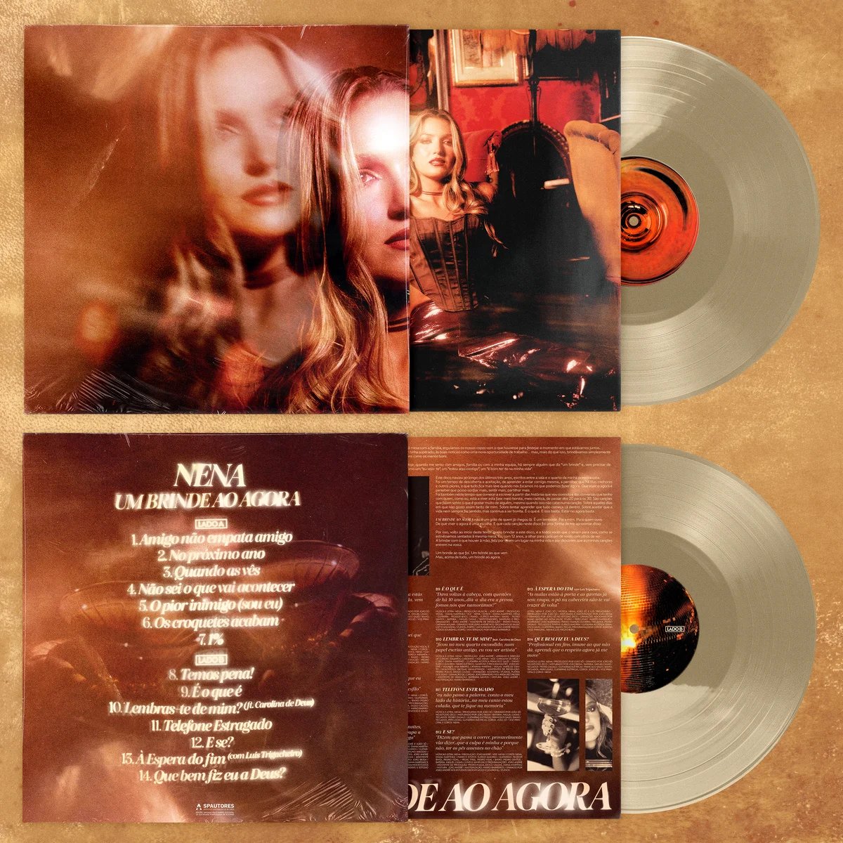 Vinil Um Brinde ao Agora